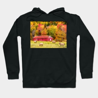 Autumn Horses Hoodie